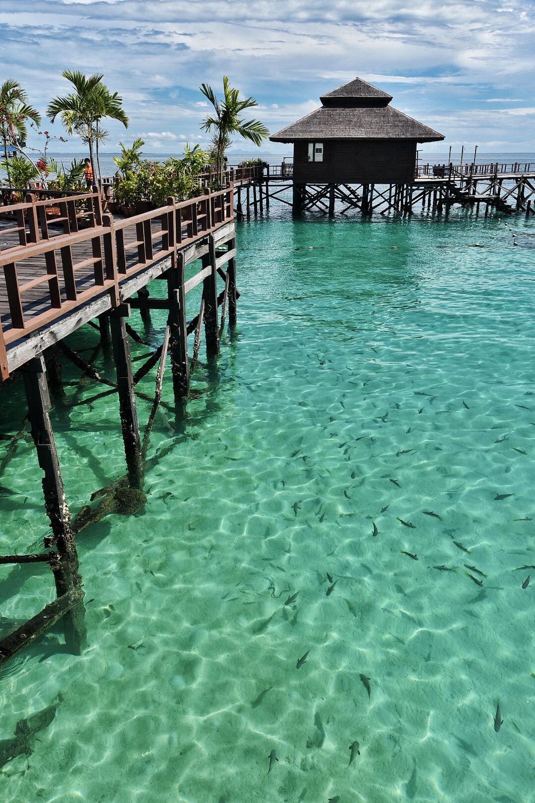 寻找那片透明的海 —— 马来西亚,马来西亚旅游攻略