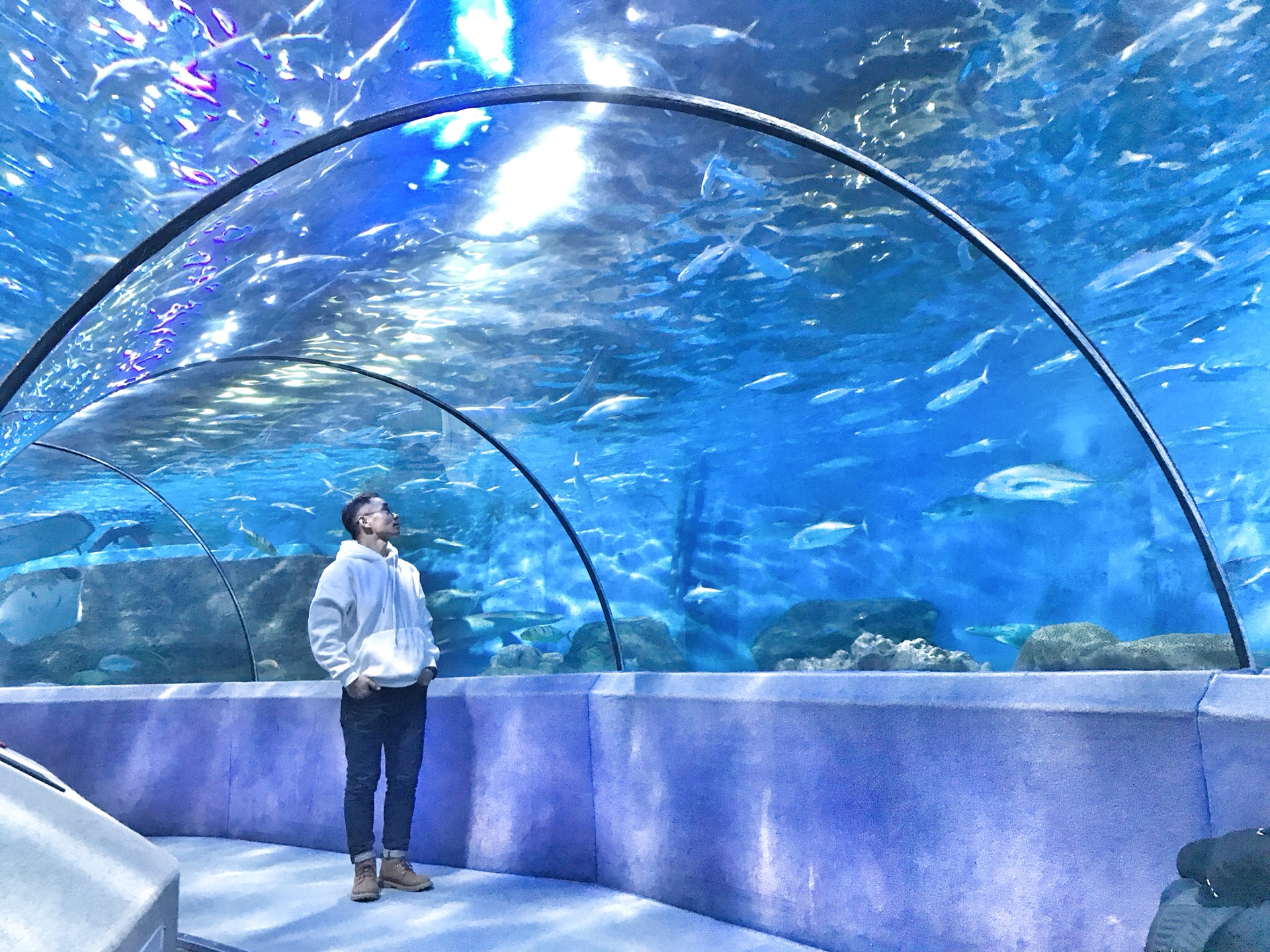 wKgED1vJP_iAYrekAA90U0L4RnA83.jpeg?imageView2%2F2%2Fw%2F600%2Fh%2F600%2Fq%2F90