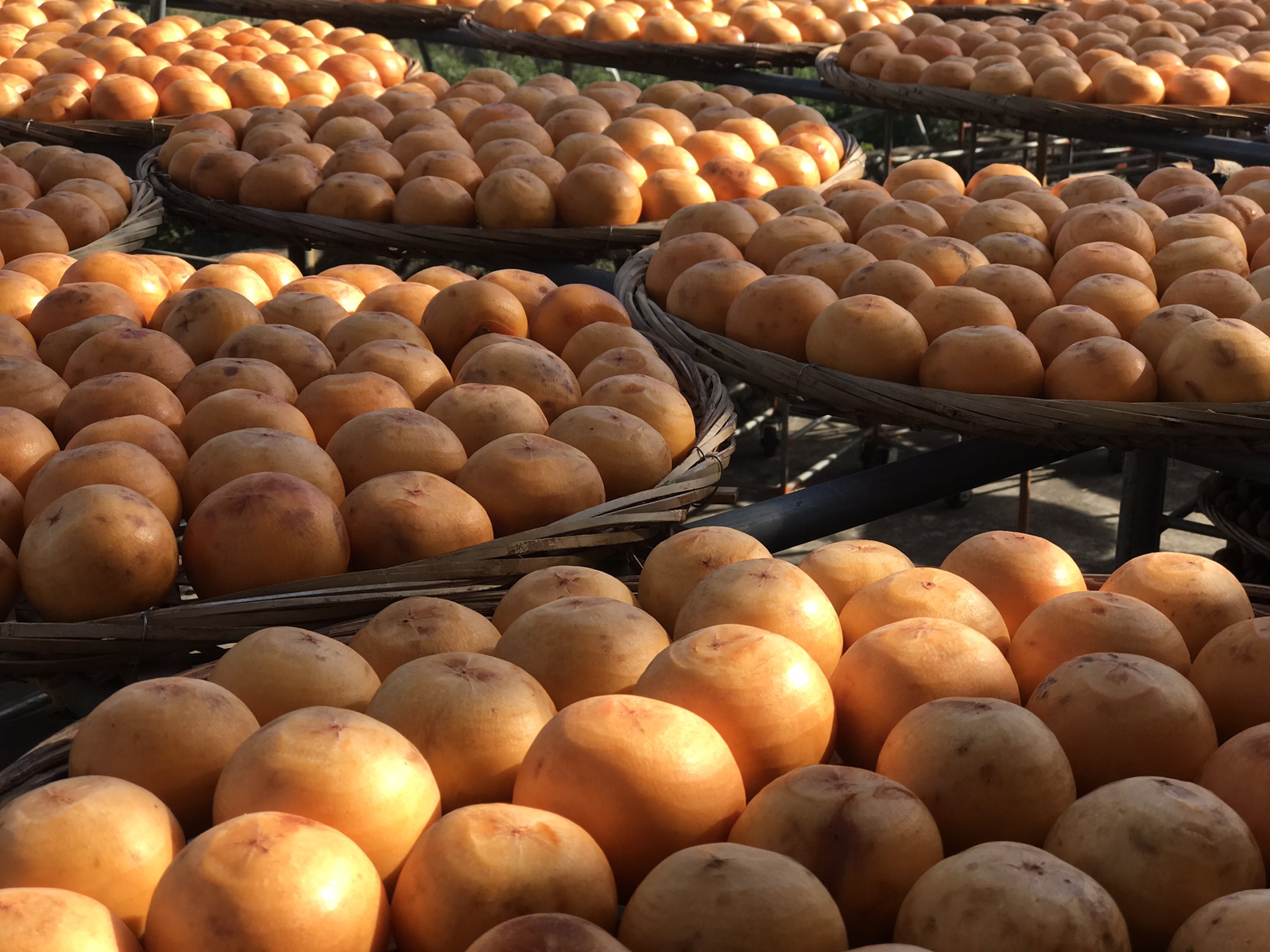 wKgED1wOTouAR9OcAAjn3txJX_800.jpeg?imageView2%2F2%2Fw%2F600%2Fh%2F600%2Fq%2F90