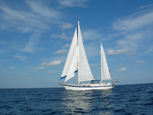 帆船和风雨猜成语_帆船简笔画