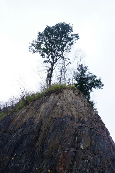 山上美景的文案 wKgED1wAGHGAET2mAA6XmjPQuyc67.jpeg?imageView2%2F2%2Fw%2F600%2Fh%2F600%2Fq%2F90