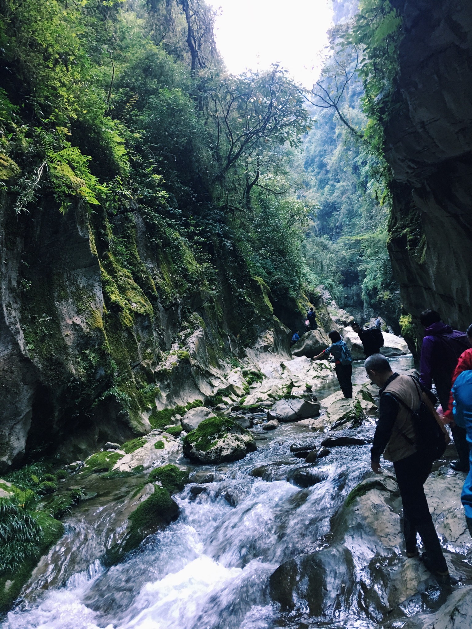 wKgED1vpju6AEm_iABEKlMFFCqQ28.jpeg?imageView2%2F2%2Fw%2F600%2Fh%2F600%2Fq%2F90