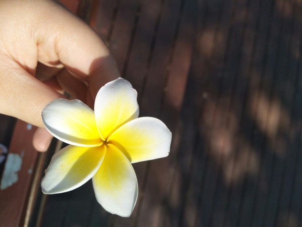 怎么打鸡蛋花不碎 wKgED1vVrmaAHT_uAAiqwRHFSbc52.jpeg?imageView2%2F2%2Fw%2F600%2Fh%2F600%2Fq%2F90