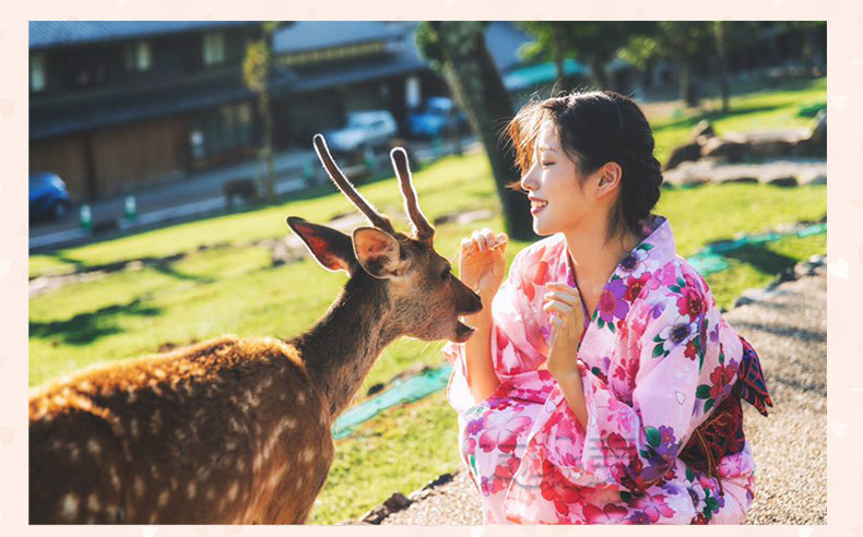 日本奈良和服租赁体验旅拍摄影(神鹿公园)