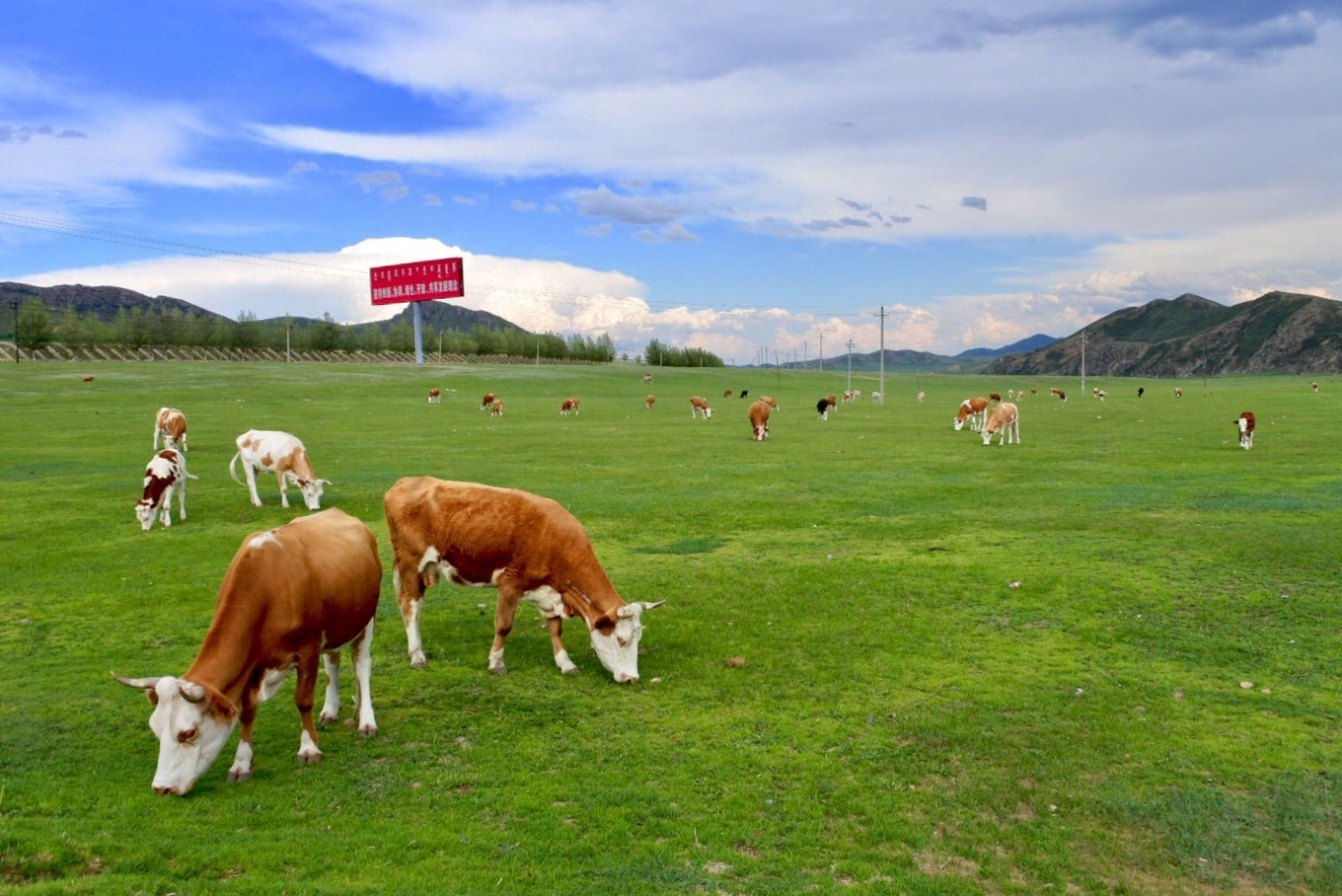 珠海周边自驾游有哪些好去处，珠海周边游目的地推荐
