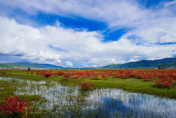 什么季节去云南丽江好一点呢 wKgED1uvemSAGCsPABTtBwwDl0Y21.jpeg?imageView2%2F2%2Fw%2F600%2Fh%2F600%2Fq%2F90