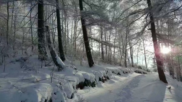 一般什么时候下雪 wKgED1vgJ2KAU9-6AARybIlueCM63.jpeg?imageView2%2F2%2Fw%2F600%2Fh%2F600%2Fq%2F90