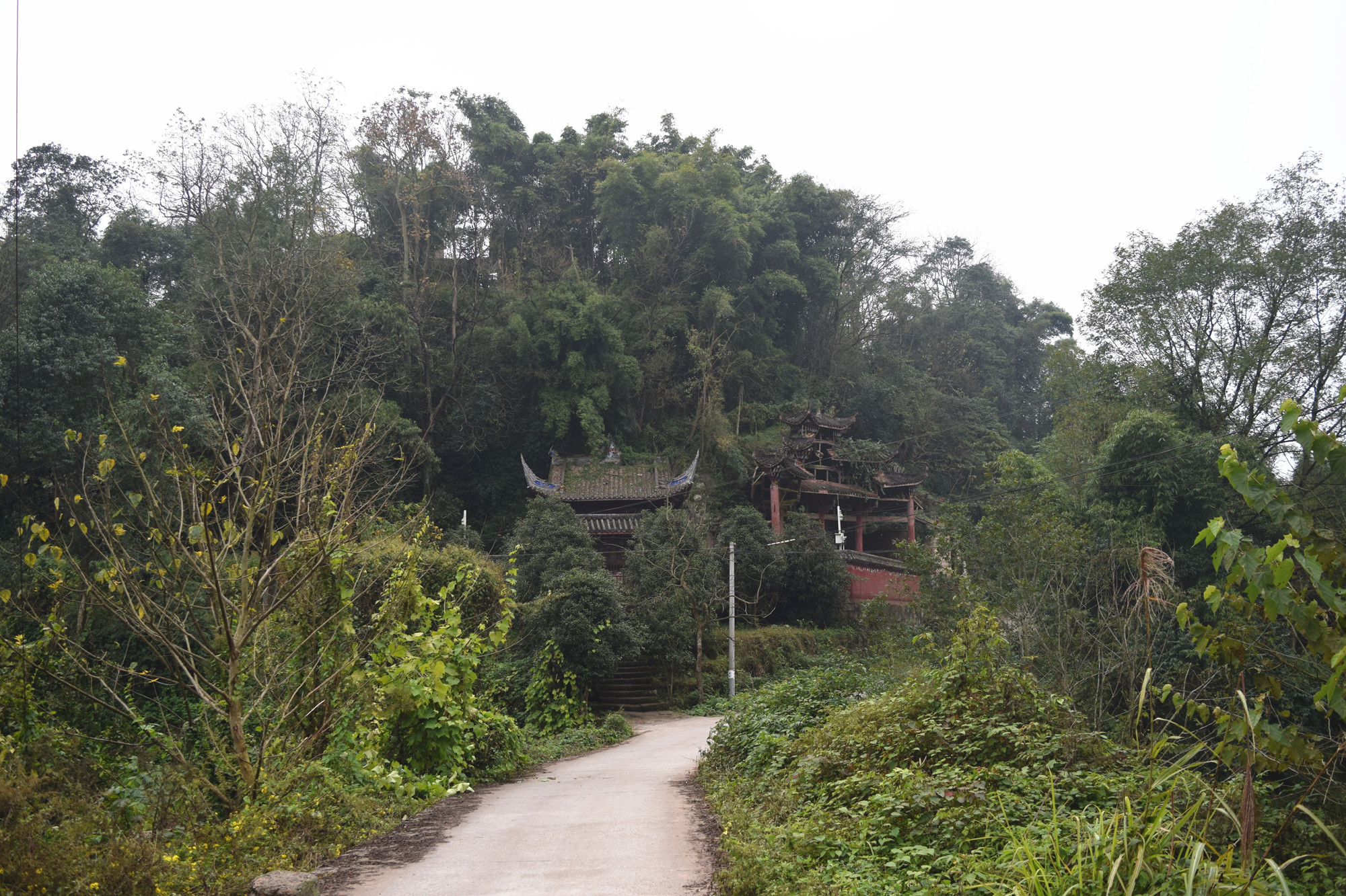 呼伦贝尔到营山县旅游