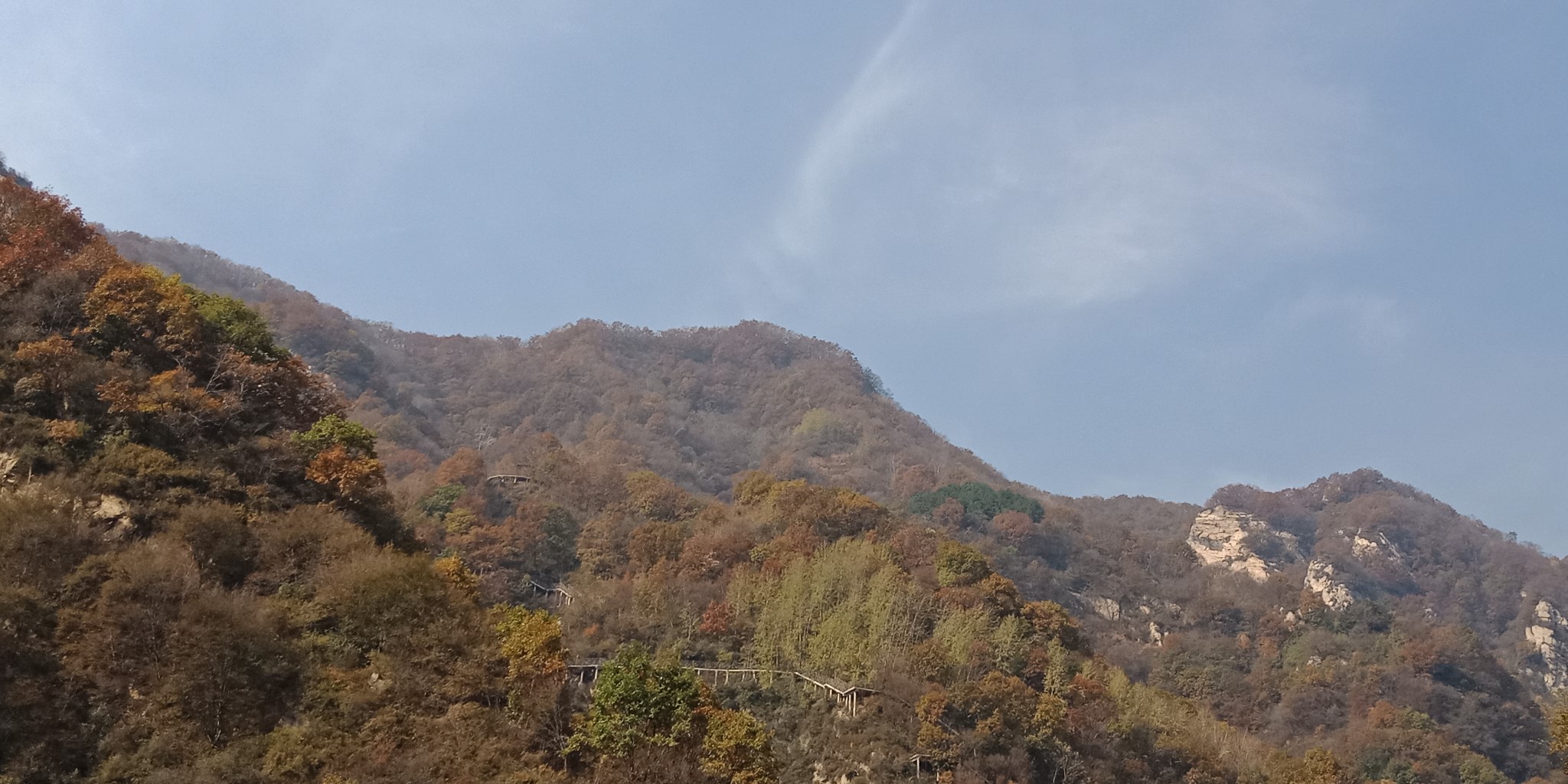 灵寿县客运站停运了吗〖漫山花溪谷开了吗漫山花溪谷开放时间〗