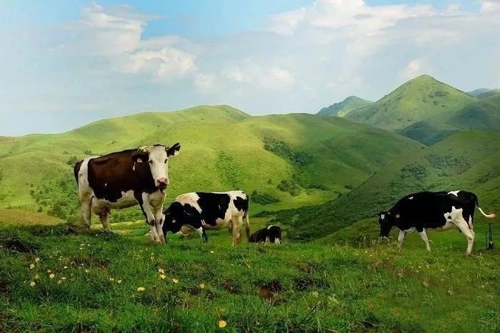 去南山牧场怎么穿搭_南山牧场