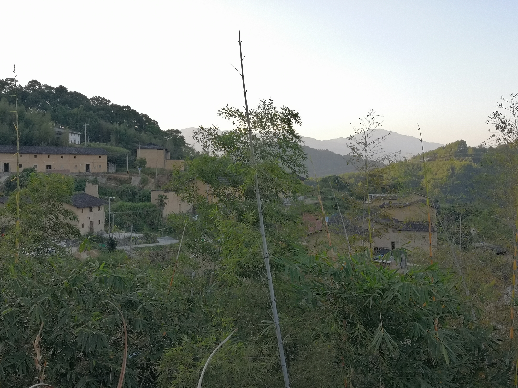 南平地区有多少人口_南平各县人口排名图片(2)