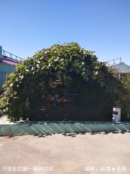 万德生态园--榆树自驾地址和庄园线路:哈尔滨市道里区老机场路,过薛家简介别墅v自驾图片