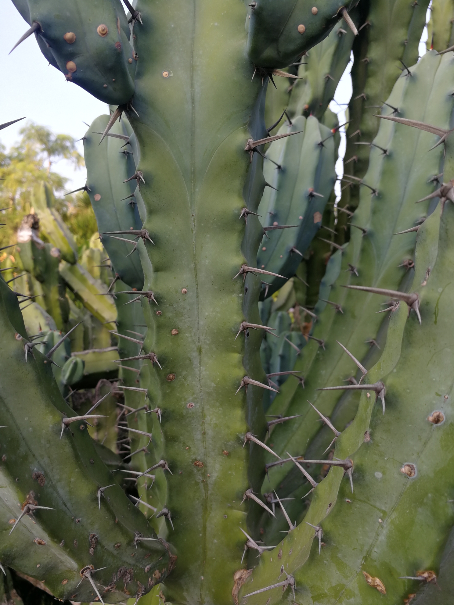 wKgED1u5VpGAERmtABkZZ7dJKAo53.jpeg?imageView2%2F2%2Fw%2F600%2Fh%2F600%2Fq%2F90