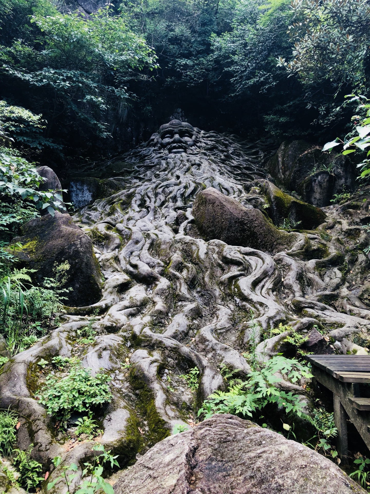 筋骨猜一成语_内炼一口气外炼筋骨皮(3)