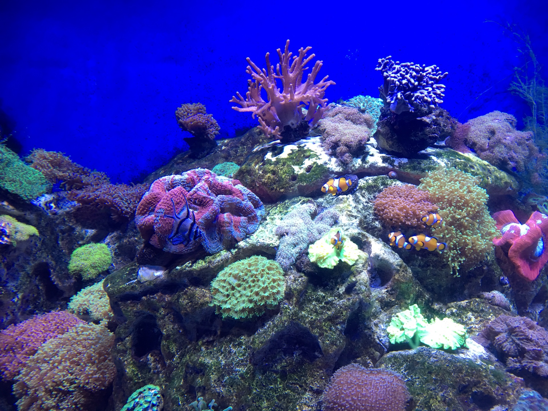 wKgED1xIsWSATQQEAA5vQdzWo7416.jpeg?imageView2%2F2%2Fw%2F600%2Fh%2F600%2Fq%2F90