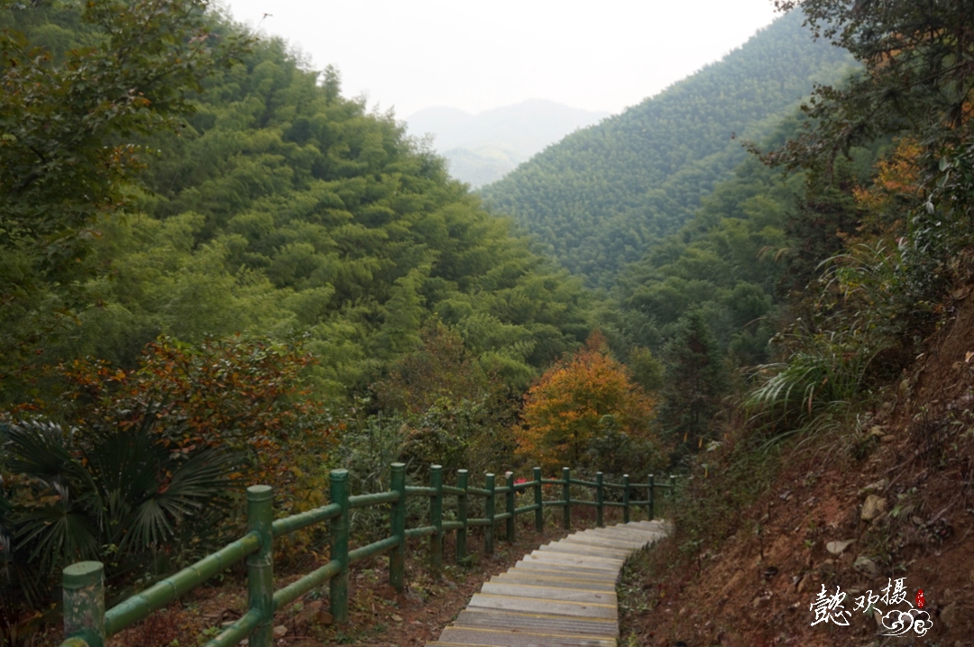 自由行攻略                      全程约85公里,北起黄山区甘棠镇,南