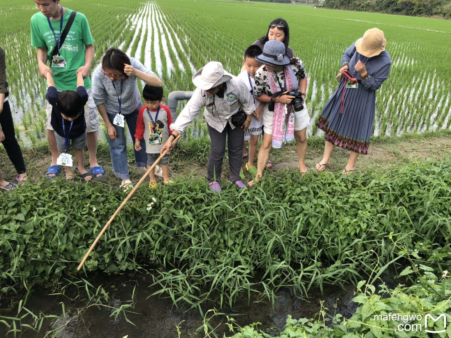 2019台湾有多少人口_...表演 .(图 台湾 东森新闻云 记者 ) -排列五奇偶走势图彩