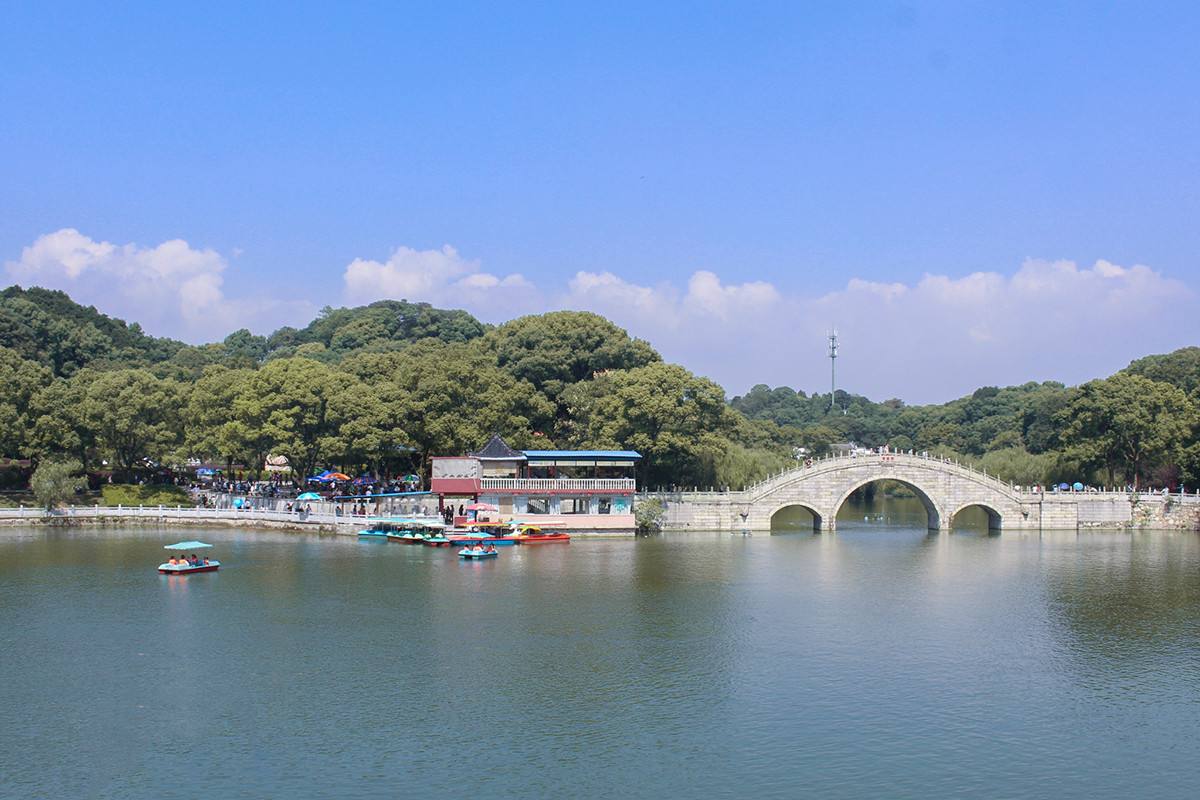 乘车经洞庭湖大桥去往"白银盘里一青螺"的【君山岛