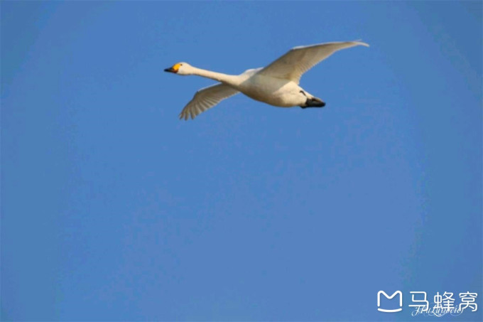 世间最美丽的眼睛 wKgEaVyoFCyAEhcvAACe8hd4bI464.jpeg?imageView2%2F2%2Fw%2F680%2Fq%2F90%7CimageMogr2%2Fstrip%2Fquality%2F90