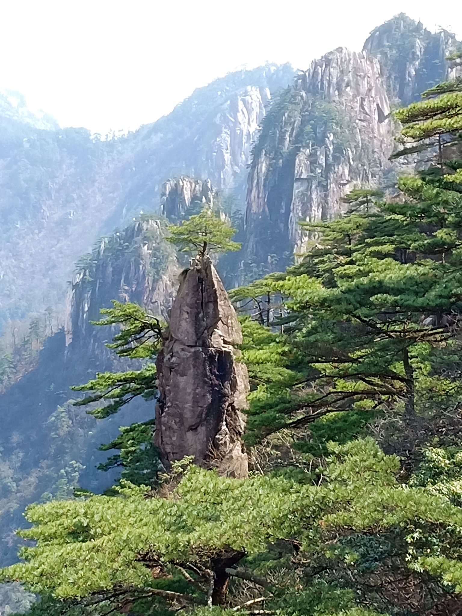 我的第二篇游记—江西(黄山 行