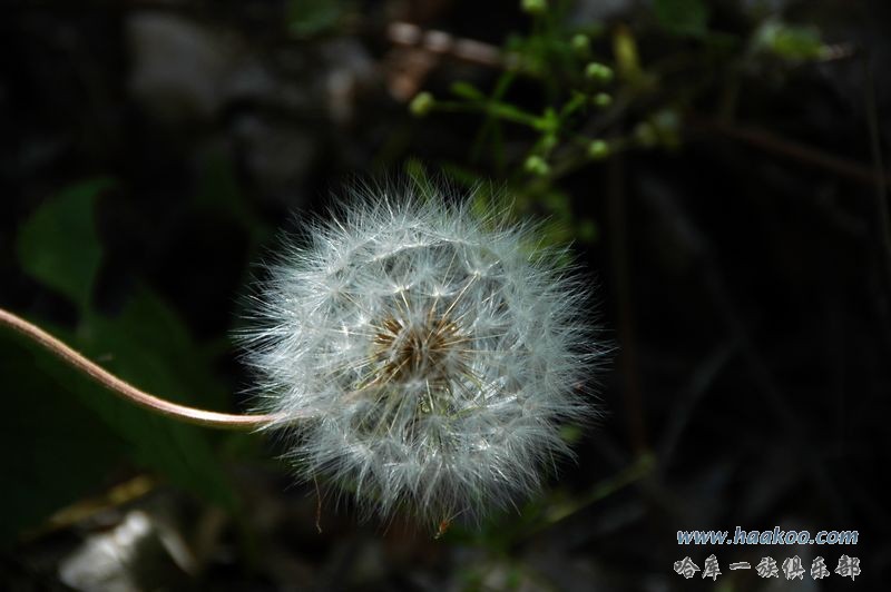 wKgBpU5RqFOs1CwWAAECDHqa1Ok17.jpeg?imageView2%2F2%2Fw%2F600%2Fq%2F90%7CimageMogr2%2Fstrip%2Fquality%2F90