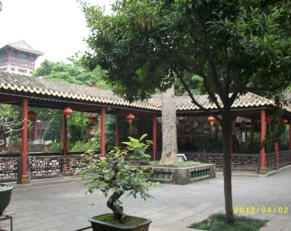 顺德游玩攻略,顺德游玩攻略及路线