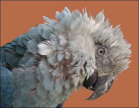 wKgBjE9MEQK4L8wXAABq8Xuhl5U27.jpeg?imageView2%2F2%2Fw%2F680%2Fq%2F90