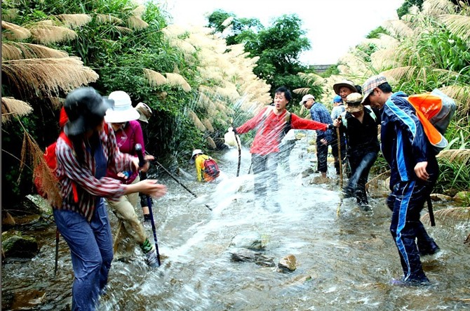 株洲人口头禅_株洲建富4人房间图片