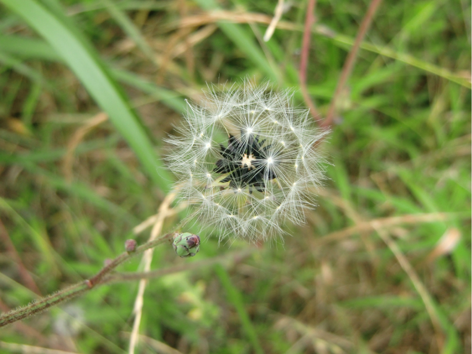 wKgByU_UhaOLda7UAAjmV63sKqw74.jpeg?imageView2%2F2%2Fw%2F680%2Fq%2F90