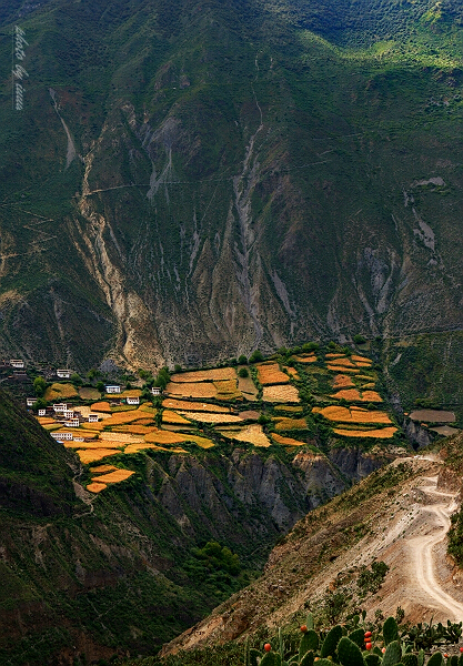 wKgB3FCfYSOAM5tNAAe0T10n7OQ78.jpeg?imageView2%2F2%2Fw%2F600%2Fh%2F600%2Fq%2F90