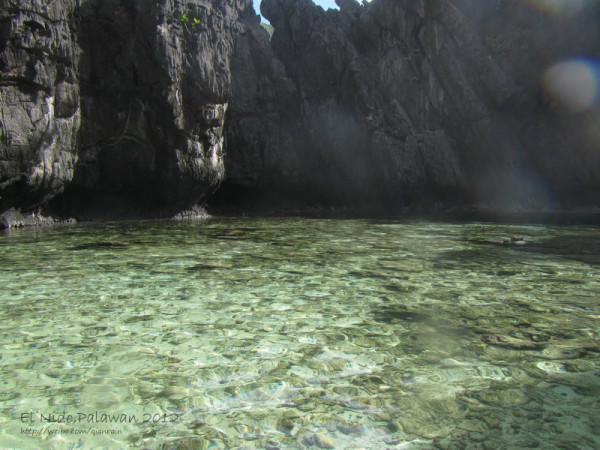 自由的鱼儿游来游去 wKgB3FEzWc-AJjECAAc3AEOiF7g13.jpeg?imageView2%2F2%2Fw%2F600%2Fh%2F600%2Fq%2F90