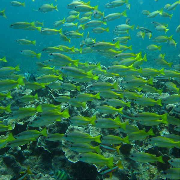 wKgB3FEePkuATv8dAAYqiUKGQJE03.jpeg?imageView2%2F2%2Fw%2F600%2Fq%2F90%7CimageMogr2%2Fstrip%2Fquality%2F90