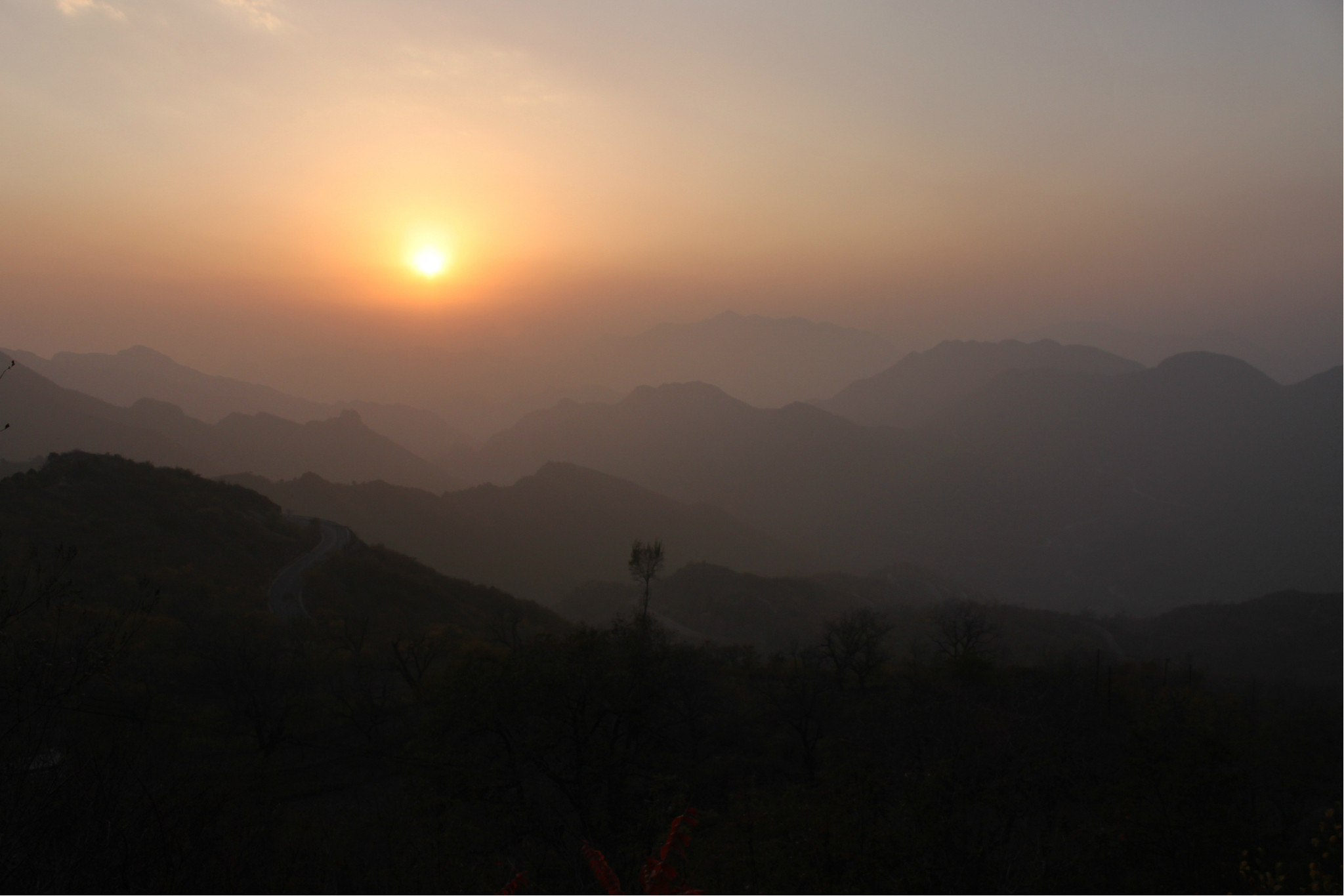 几度夕阳红曲谱_几度夕阳红