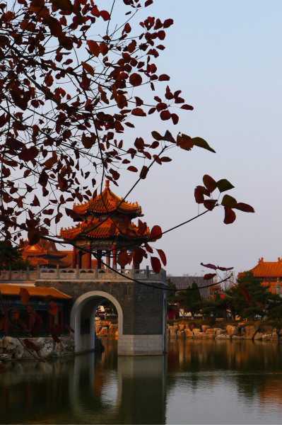 黄昏的粤语版叫啥 wKgB3FDIShCAdBQ8ACYdlVV7s5A81.jpeg?imageView2%2F2%2Fw%2F600%2Fh%2F600%2Fq%2F90