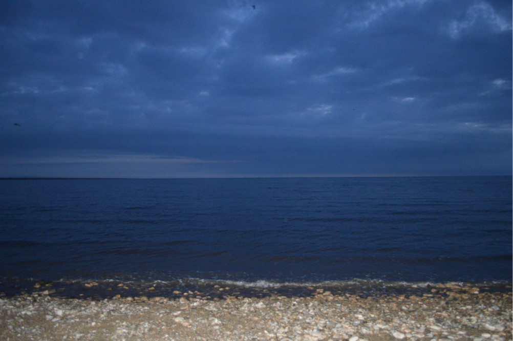 wKgB3FHUVH2AIr2bAAIy82QcOfc17.jpeg?imageView2%2F2%2Fw%2F600%2Fh%2F600%2Fq%2F90