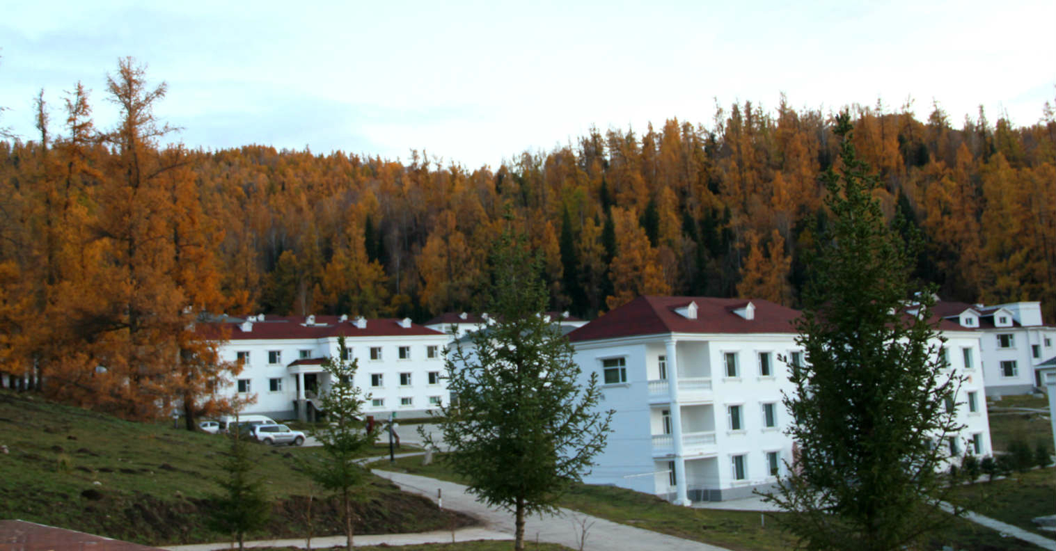 wKgB3FCEzHKWh9GNAAlJVumPbWo14.jpeg?imageView2%2F2%2Fw%2F600%2Fh%2F600%2Fq%2F90