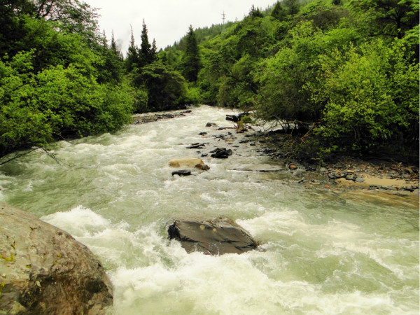 啥是洗肺 wKgB21AMzGeILBXBAA-Z0krqYns53.jpeg?imageView2%2F2%2Fw%2F600%2Fh%2F600%2Fq%2F90