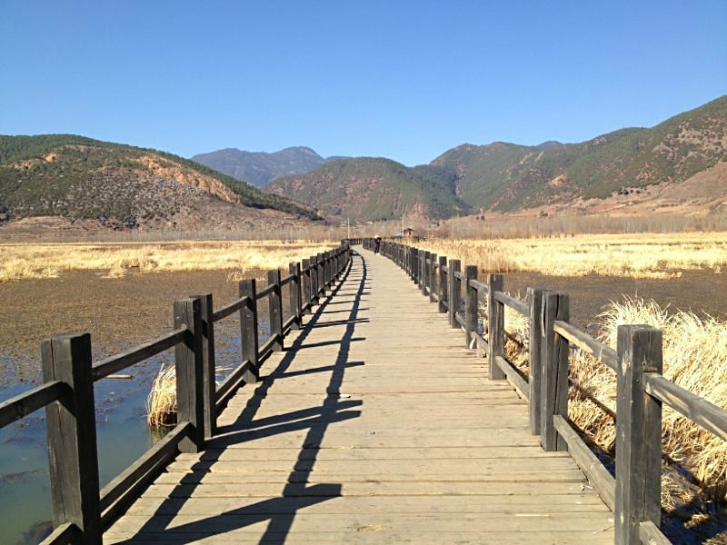 wKgB3FDRy2uAbD5pAAXCD7GjQZA03.jpeg?imageView2%2F2%2Fw%2F600%2Fq%2F50