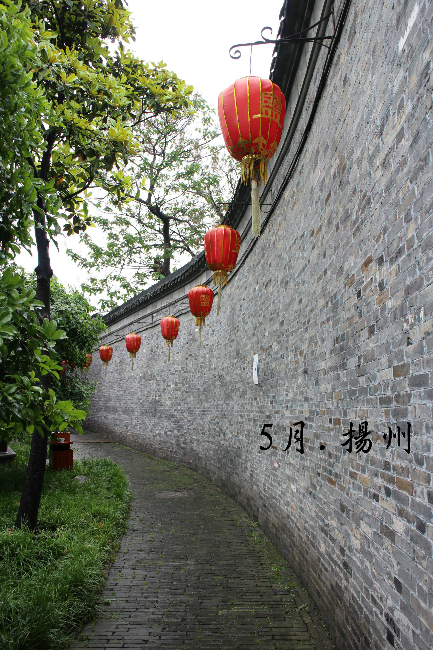 卢家人口_人口普查