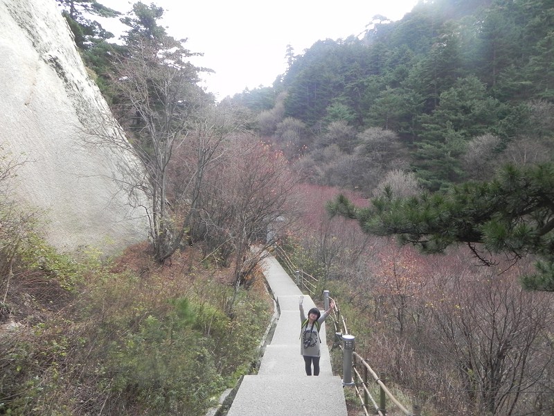 西峰人口多么_华山西峰