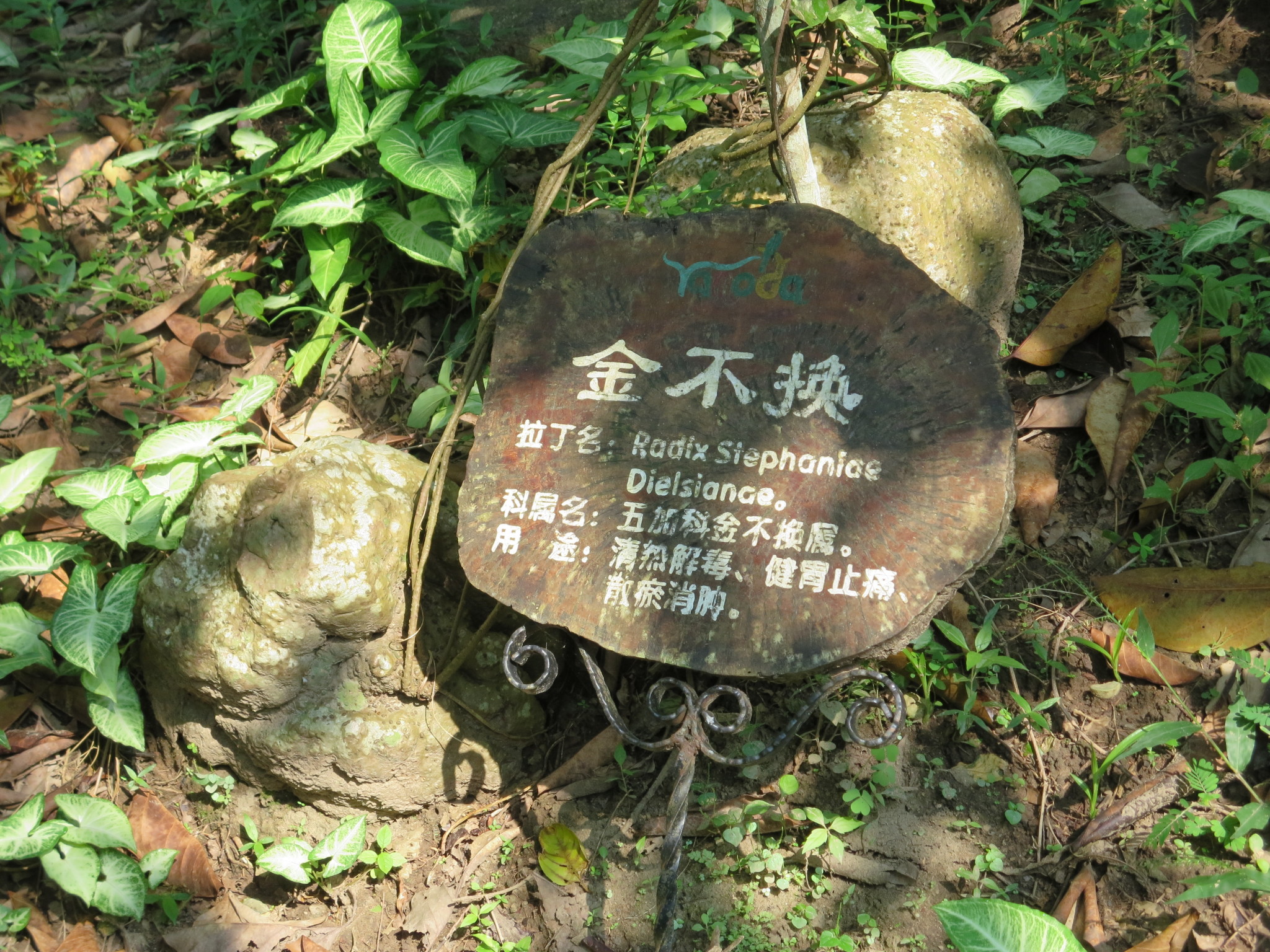 兰花竹子猜成语_看图猜成语(2)