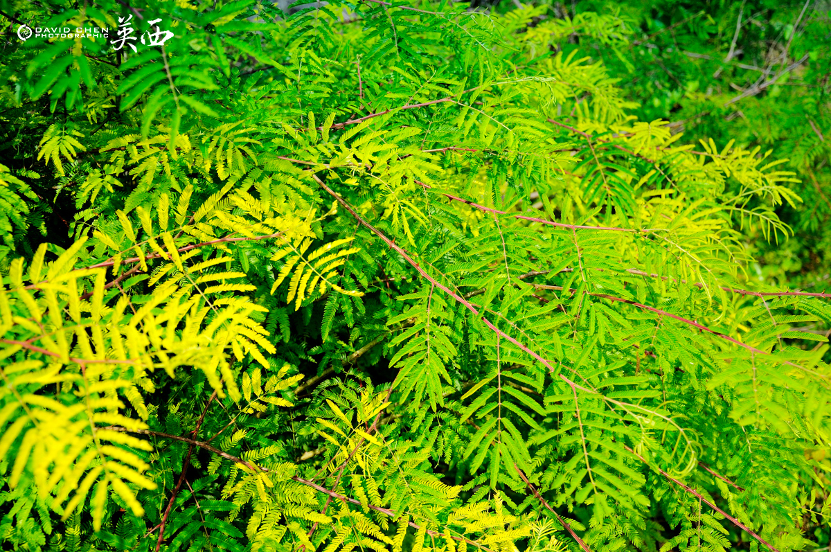 wKgB4lJ_ZHeAY1JhABqXvgR0e4s03.jpeg?imageView2%2F2%2Fw%2F600%2Fh%2F600%2Fq%2F90%7Cimageslim