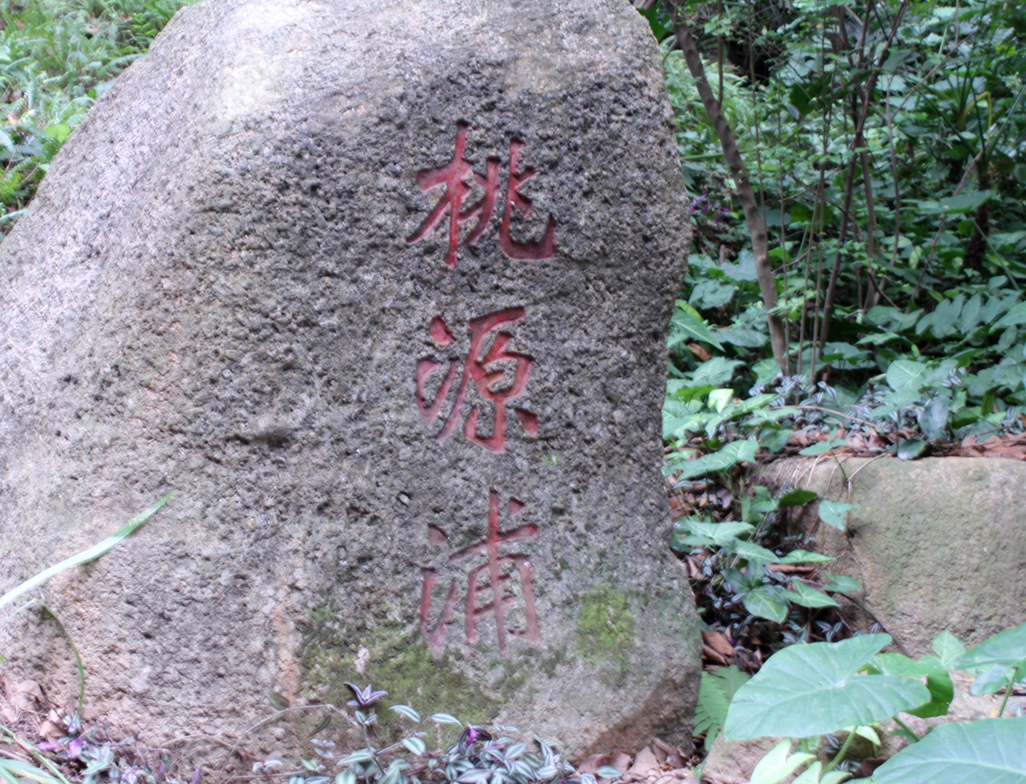 脸炙人口_女生头像真人挡脸(3)