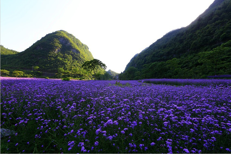 荔波县有多少人口_荔波至王蒙公路沿线的移民新村 梦柳布依族小镇