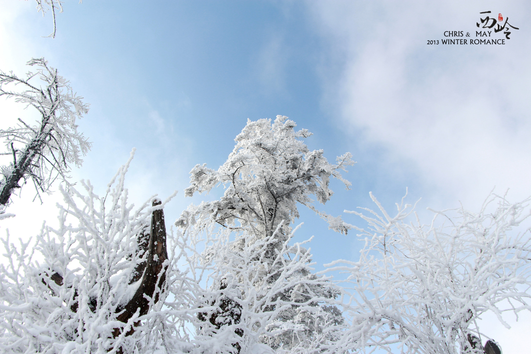 wKgB4lLRadeAOXx2AAsA45UFvWo44.jpeg?imageView2%2F2%2Fw%2F600%2Fh%2F2000%7Cwatermark%2F1%2Fimage%2FaHR0cDovL2IyLXEubWFmZW5nd28ubmV0L3M5L00wMC82My84RS93S2dCczFaTmVzV0FZb29JQUFBU2JNMElpRjQyNDEucG5n%2Fgravity%2FSouthEast%2Fdx%2F20%2Fdy%2F20
