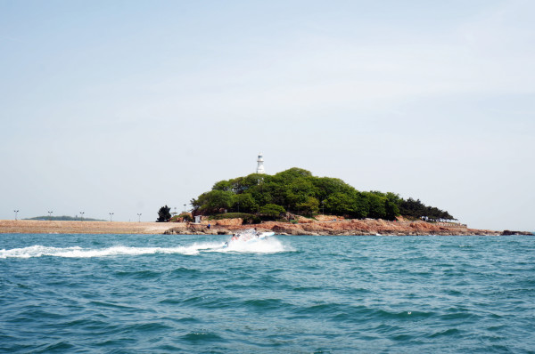 青岛海草游玩攻略,青岛海草游玩攻略一日游