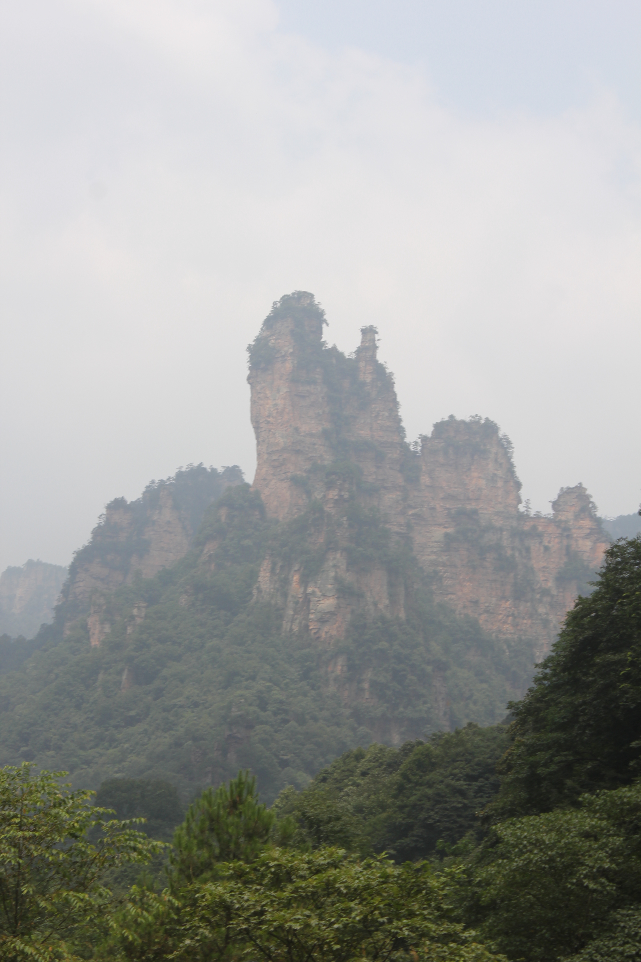 张家界有多少人口_...安静的一个人去张家界旅行(3)