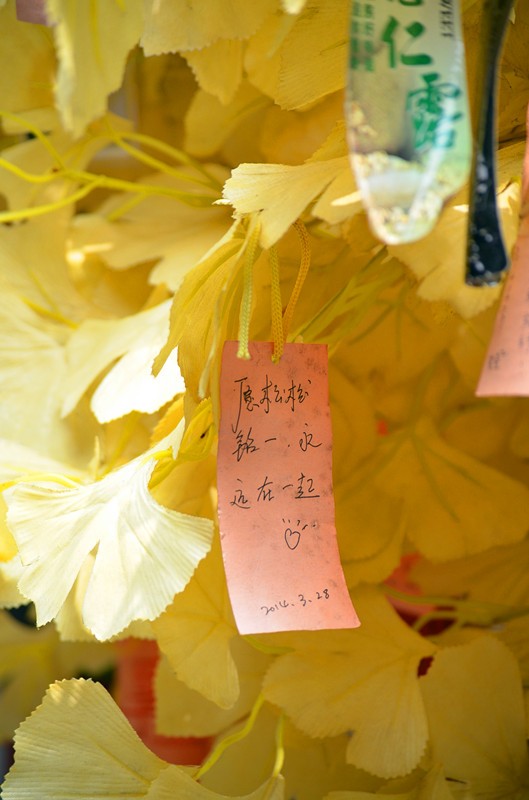 wKgB6lPKHAaAB7xXAAHWDm9ZHUY12.jpeg?imageView2%2F2%2Fw%2F600%2Fh%2F600%2Fq%2F90
