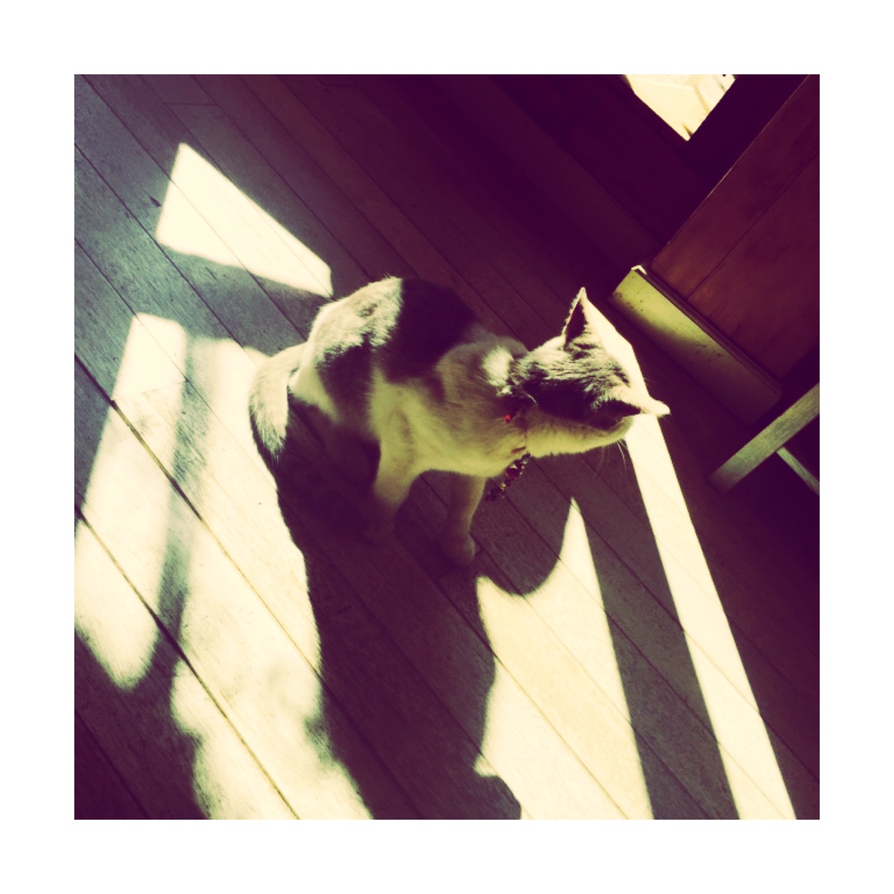 wKgB6lTqxUaAU0ipAANBkg9cp_g51.jpeg?imageView2%2F2%2Fw%2F600%2Fq%2F90%7CimageMogr2%2Fstrip%2Fquality%2F90