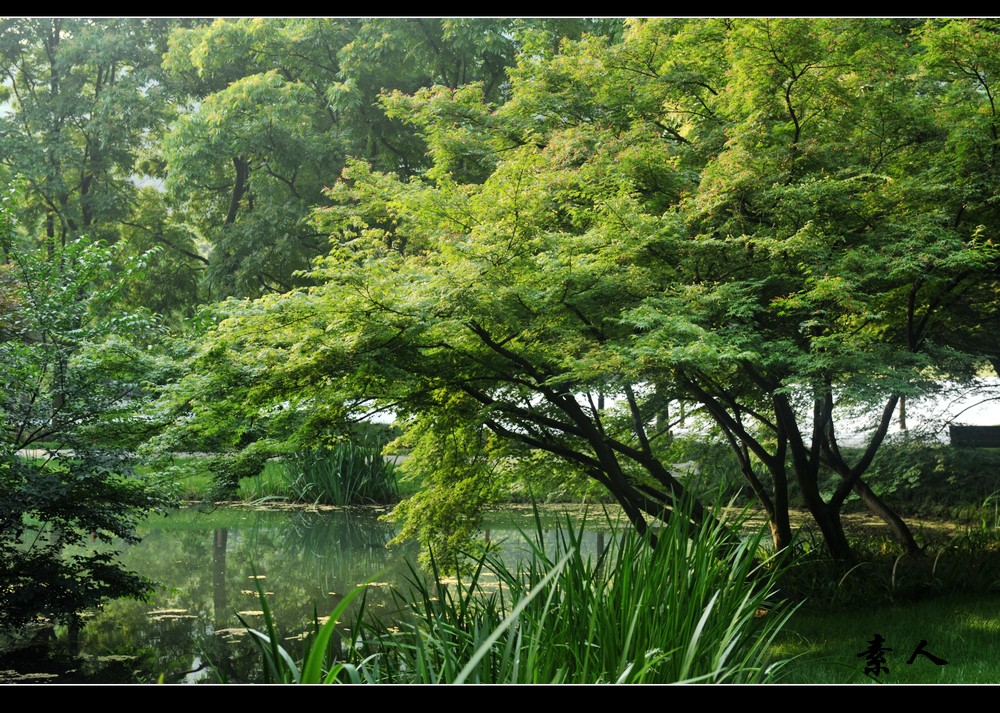 北宋时期经济总量_北宋时期地图